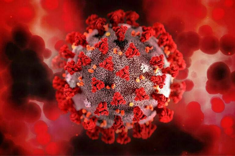<br />
Распространение коронавируса в России, новости на 3 декабря 2021 года                