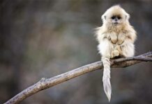 Ряд важных праздников отметят сегодня 14 декабря 2021 года по всему миру