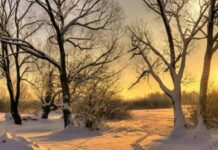 Романов день 10 декабря 2021 года: как на Руси в этот день избавлялись от печалей и недугов