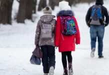 Столицу ждет морозный удар: будут ли из-за похолодания занятия в школах Москвы и области 22 декабря