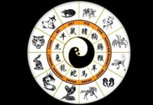 Три знака восточного зодиака могут решить проблемы с деньгами еще до конца декабря 2021 года