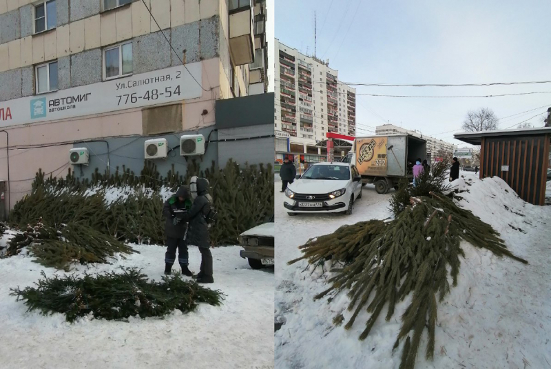 В Челябинске выявили незаконных торговцев новогодними елками