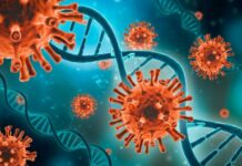 В Японии исследователи заявили о самоликвидации дельта-штамма коронавируса, но не все так просто