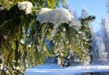 Запрет на грубость и злость: гороскоп на 30 декабря 2021 года