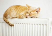 Зной в квартире: что делать и куда обращаться, когда сильно топят батареи зимой