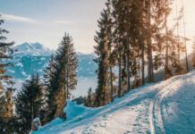 19 января – Турицы: как славяне мальчиков в этот день посвящали в мужчин. Кто такие «туры» и все традиции праздника