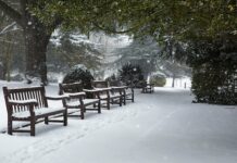 40 день Рождественского поста: как правильно поститься 6 января в Сочельник – последний и самый строгий день поста. Правила выхода в привычный рацион питания