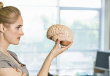 5 заблуждений о мозге