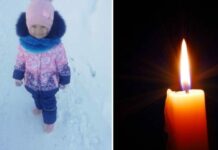 Что случилось в Костроме с 5-летней Вероникой Николаевой, жуткие подробности происшествия