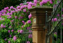 Изменения в жизни дачников: чего ждать от новых правил в 2022 году