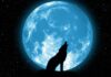 Как Волчье полнолуние в январе 2022 года может изменить жизнь людей