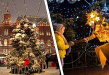 Какие музеи Москвы станут бесплатными на новогодние праздники 2022