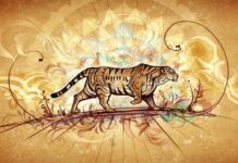 Какие знаки восточного гороскопа могут разбогатеть в 2022 году под покровительством Черного Водяного Тигра