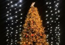 Каким знакам зодиака повезет в новогодние каникулы