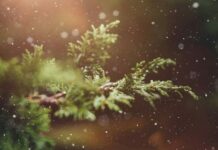 Какой сегодня праздник, 7 января 2022 года, отмечают в разных странах