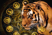Когда наступит год Тигра по китайскому календарю и каким он будет для всех знаков зодиака