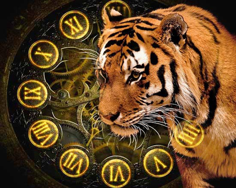 Когда наступит год Тигра по китайскому календарю и каким он будет для всех знаков зодиака