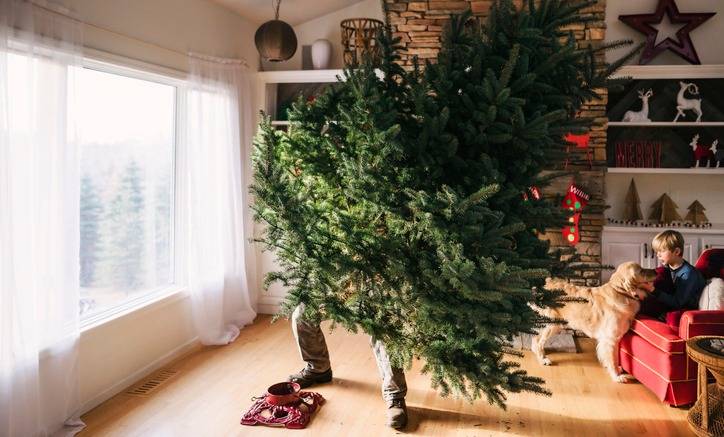 <br />
Когда убирать елку после Нового года, народные приметы и суеверия                