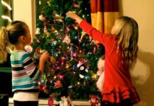 Когда уносить из дома зеленый символ Нового года, каждая семья решает для себя сама