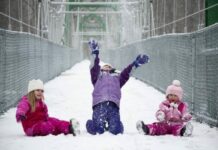 Когда в школу: какого числа завершатся каникулы в январе 2022 года