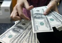 Куда девать доллары, если России запретят валютные операции из за санкций