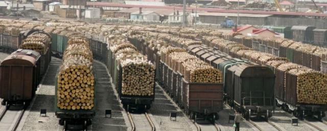 Начали действовать повышенные ставки на экспорт российской древесины за границу