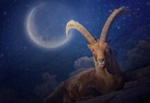 Начать с чистого листа: какие возможности подарит новолуние 2 января 2022 года