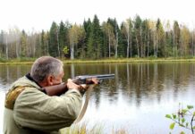 Открытие весенней охоты в 2022 году по регионам: когда и за какой дичью можно выходить