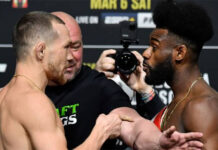 Петр Ян сразится со Стерлингом за чемпионский пояс UFC