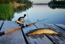 Правда ли, что по новому закону в 2022 году в России не будет платной рыбалки