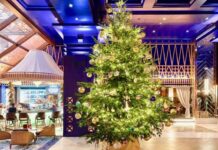 Рейтинг десяти самых дорогих новогодних елок России: кто одержал победу