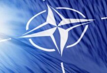 Ряд государств просто «бесполезны» для НАТО, — американский эксперт