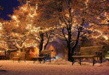 Рождество: главные традиции празднования в России. Когда на самом деле родился Иисус Христос и сколько ему лет. Праздничная служба в Храме Христа Спасителя в Москве и главные запреты на 7 января