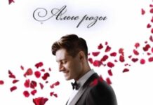 Шоу «Холостяк» на ТНТ: кто станет главными героями 9 сезона