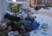 Снег и мусор: главные проблемы Санкт-Петербурга в 2022 году