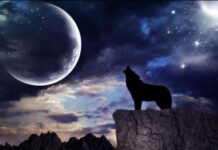 Волчье полнолуние в январе 2022 года: что надо делать в этот день