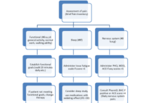 Hurma: единое решение для автоматизации процессов по HR
