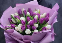 Как правильно выбрать тюльпаны: советы специалистов