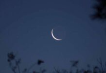 Что астрологи не советуют делать в новолуние, а какие действия будут эффективны