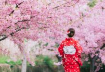 Что жители Японии вкладывают в процесс созерцания цветущей сакуры