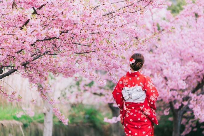 <br />
Что жители Японии вкладывают в процесс созерцания цветущей сакуры                