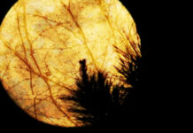 Как отвадить нежелательного человека от дома: ритуалы на воду, на порог и булавку