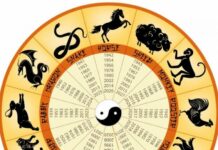 Каким знакам зодиака по китайскому гороскопу предрекли богатство с 15 февраля 2022 года