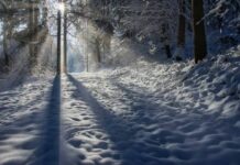 Народный праздник Федора Студита 8 февраля, традиции и запреты дня