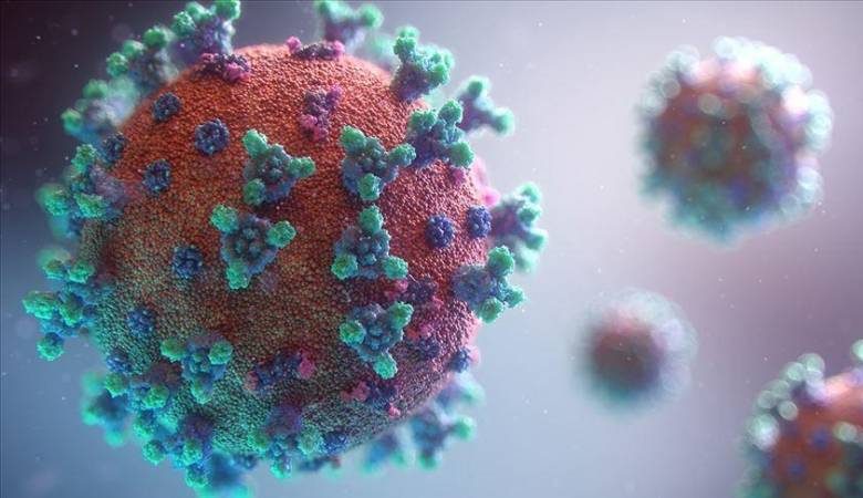 <br />
Появился новый штамм коронавируса: стоит его опасаться или нет                