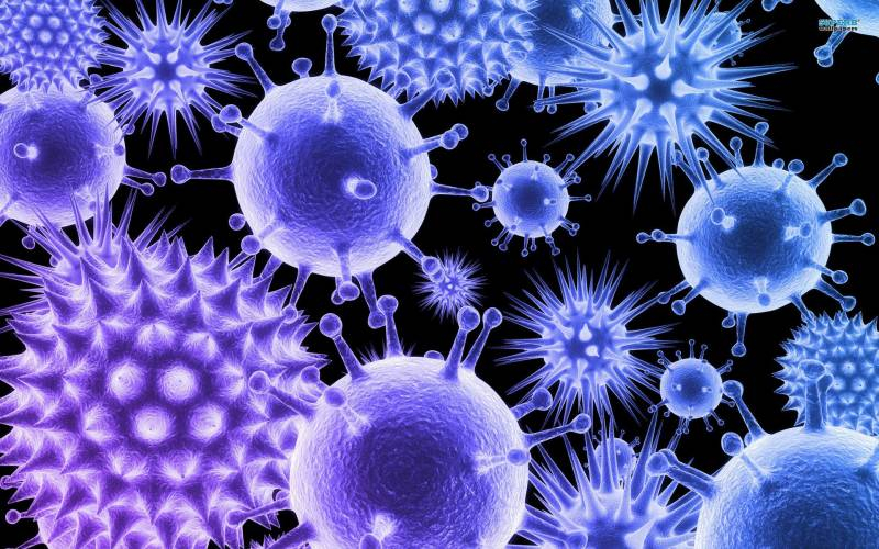 <br />
Последние новости о новом штамме коронавируса «Дельтакрон»                