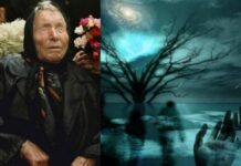 Предсказание Ванги – чего ждать России в 2022 году