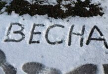 Вильфанд рассказал, почему весна пришла на 50 дней раньше