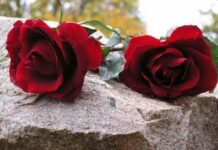 Благоустройство могил: услуги от Monument-Service