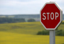 Что теперь запрещено вывозить из России: на какие товары распространяются ограничения